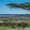 seen from Ang'ata Migration Camp; Ndutu, NCA, Tanzania; Ang'ata Migration Camp is ideally situated south of Lake Ndutu. From December to March the Great Wildebeest Migration gathers in this area